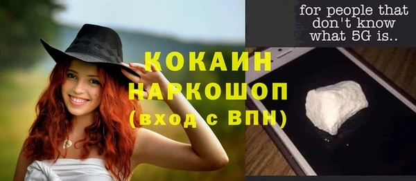 дурь Каменка