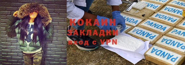 дурь Каменка
