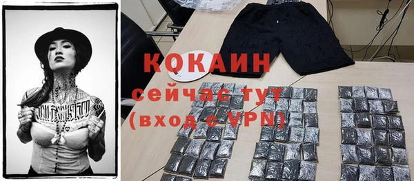 дурь Каменка
