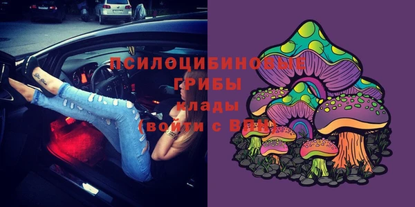 ALPHA-PVP Каменногорск