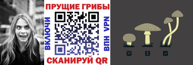 Галлюциногенные грибы MAGIC MUSHROOMS  Купить закладки  Новозыбков 
